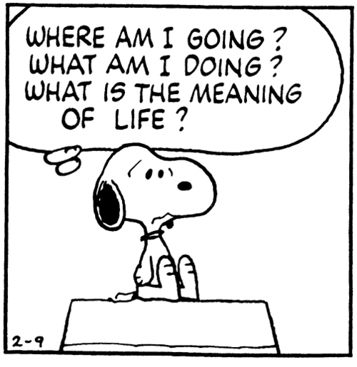 snoopy-meaning-of-life.png